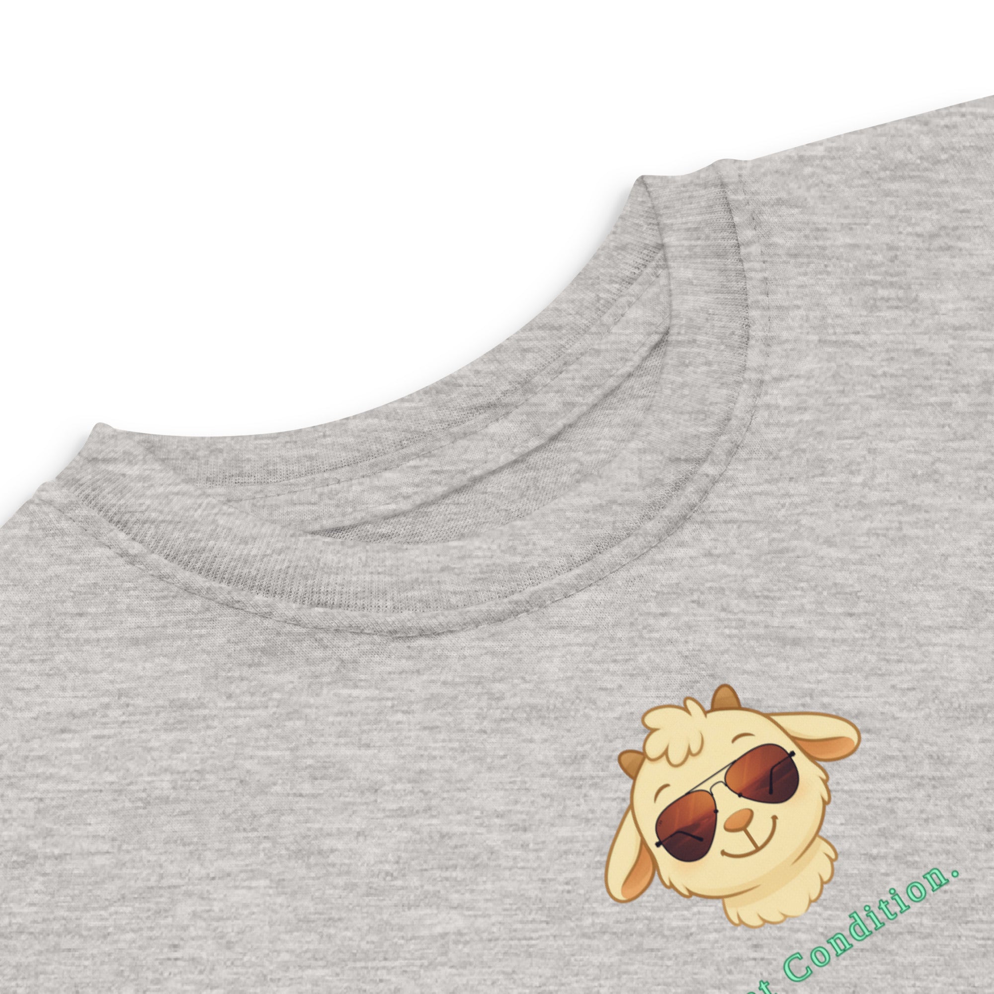 Little Bleats Signature "Minty" Toddler Tee in Heather — Aviator Edition, sizes 2T–5/6T