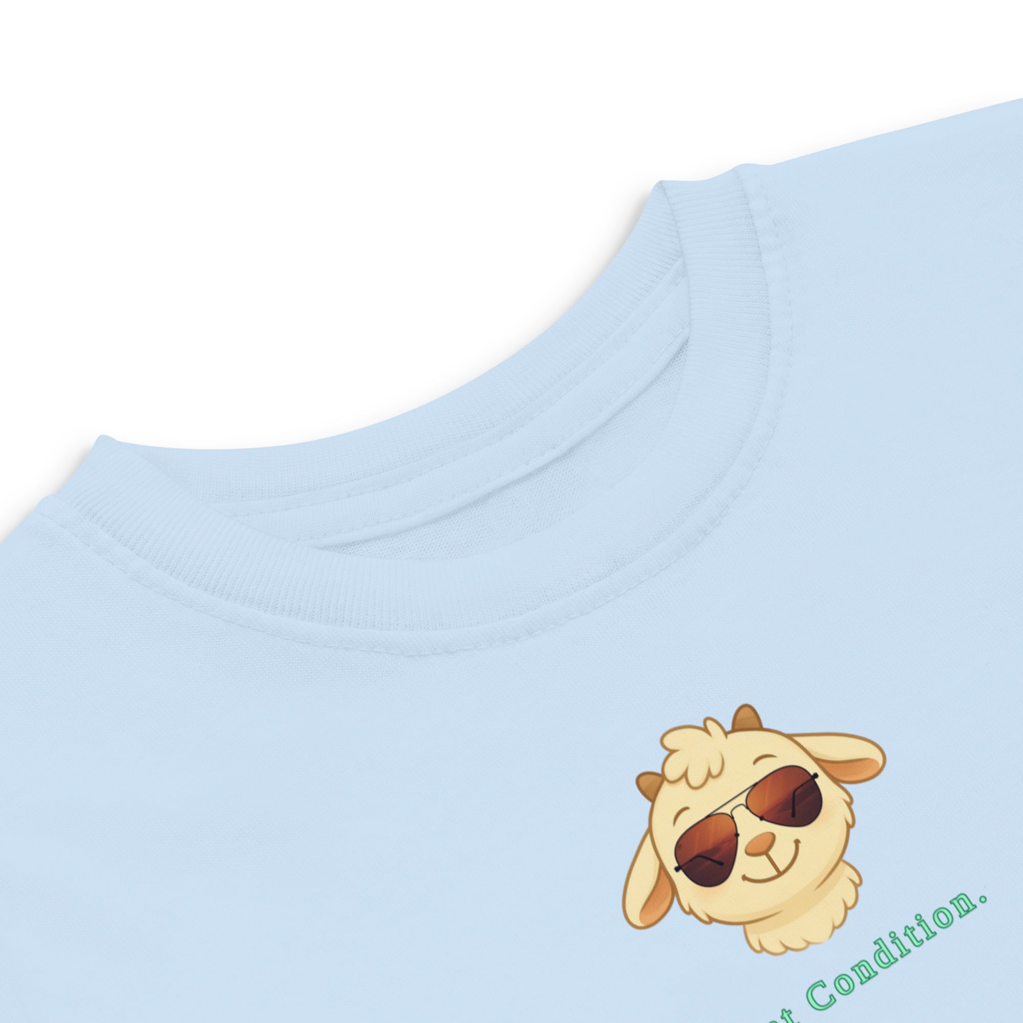 Little Bleats Signature "Minty" Toddler Tee in Light Blue — Aviator Edition, sizes 2T–5/6T