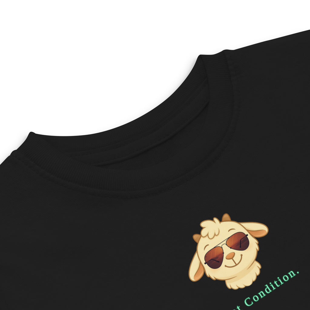 Little Bleats Signature "Minty" Toddler Tee in Black — Aviator Edition, sizes 2T–5/6T