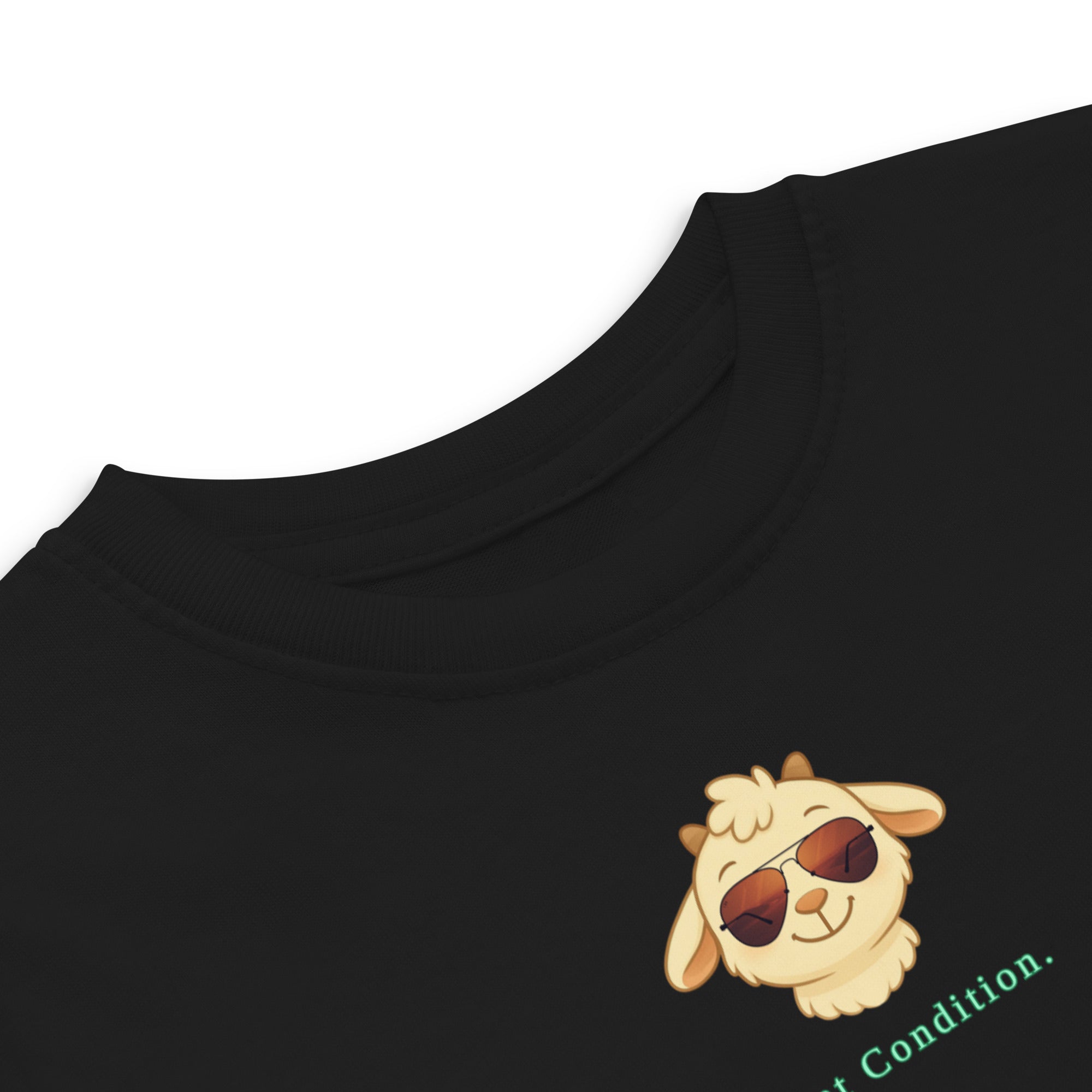 Little Bleats Signature "Minty" Toddler Tee in Black — Aviator Edition, sizes 2T–5/6T